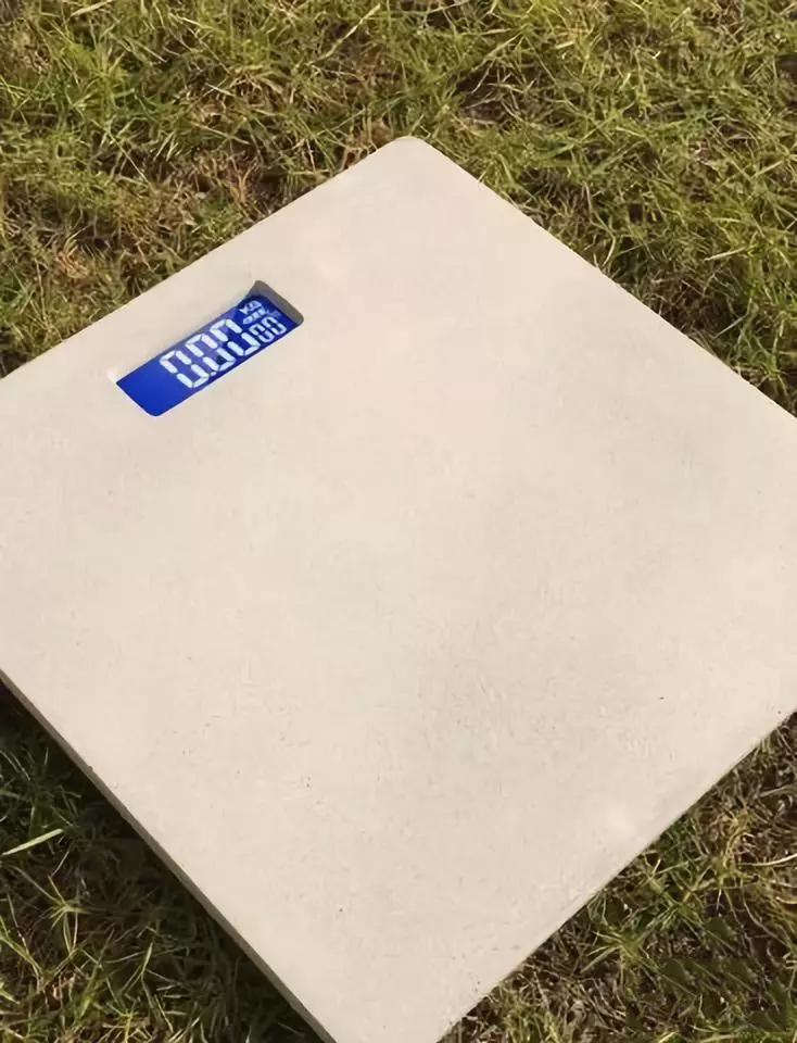 电子秤